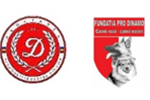 33.-Asociatia-Dinamovisti-pentru-Dinamo